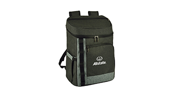 Four Person Picnic Cooler Backpack